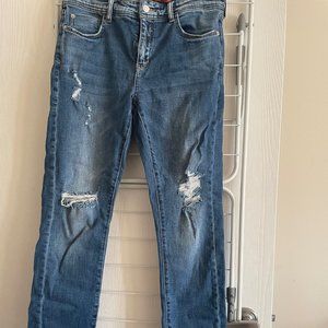 Anthropologie Pilcro Slim Boyfriend Crop Jean Size 29